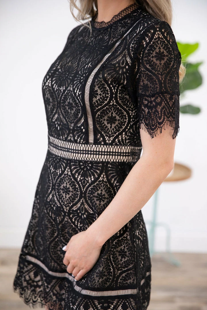 Hailey And Co Black Short Sleeve Scallop Hem Lace Dress 7 Hailey And Co Black Short Sleeve Scallop Hem Lace Dress