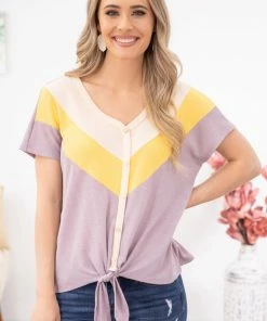 Hailey And Co SHORT SLEEVES Lavender And Yellow Tie Front Chevron Top